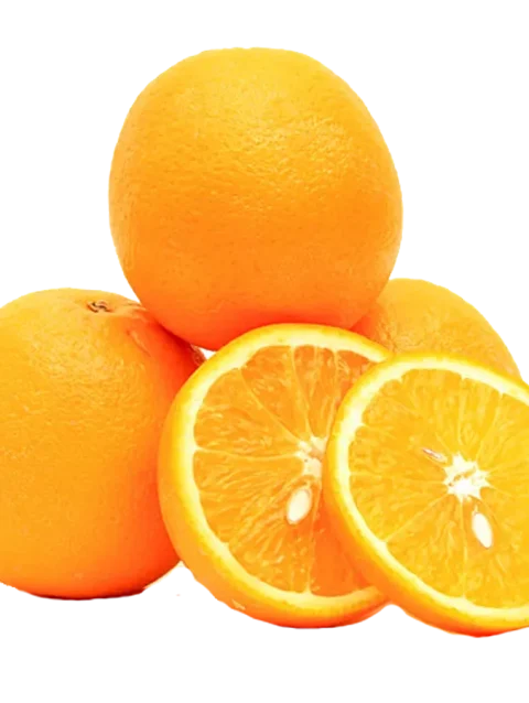 Orange | Portion