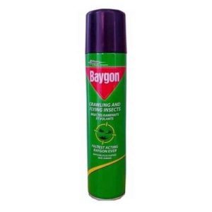 Baygon Insecticide - 300ml