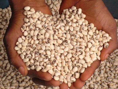 White Beans | Black Eyed Beans | Iron Beans - Mudu