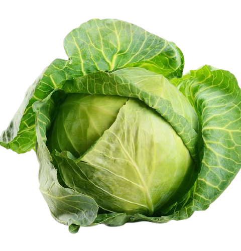 Cabbage Medium