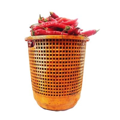 Habanero Pepper – Basket