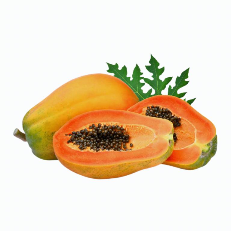 Papaya | Pawpaw (Medium Size)