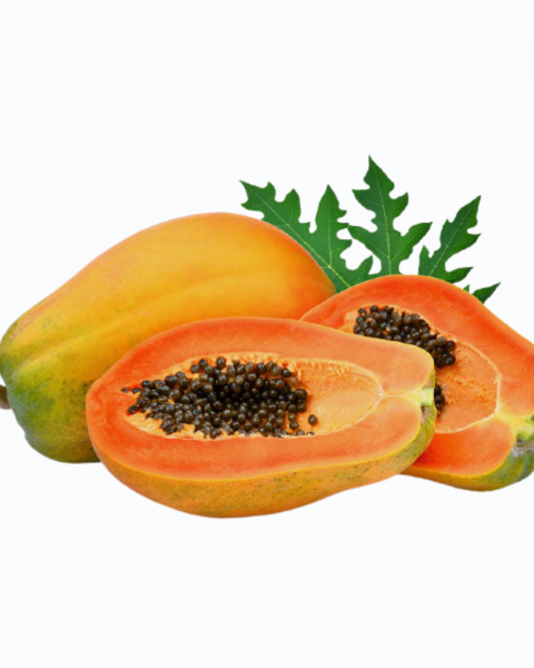 Papaya | Pawpaw (Medium Size)