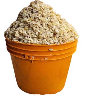 Breadfruit (Ukwa) – 1 Custard Rubber