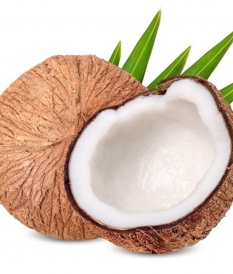 Coconut x1