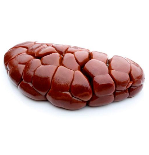 Cow Kidney (Uncut)