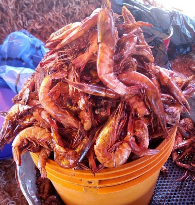 Dried Prawn (Oporo) – Custard Rubber
