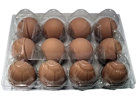 Eggs x12 (with Plastic Crate)