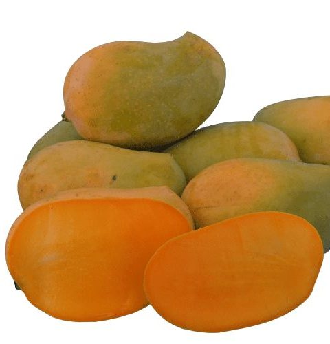 Mango
