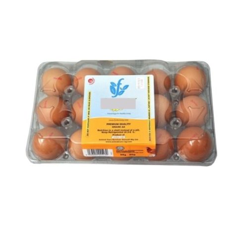 Fresh & Eggtoxic Eggs (15)