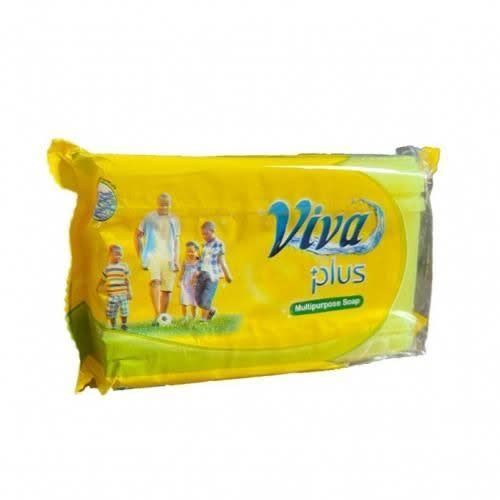 Viva Plus Multipurpose Laundry Soap (250g)