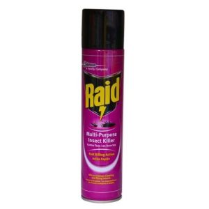Raid Multipurpose Insect Killer (750ml)
