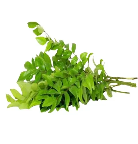 Delizz Curry Leaves (1 pack)