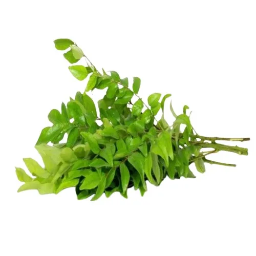Delizz Curry Leaves (1 pack)
