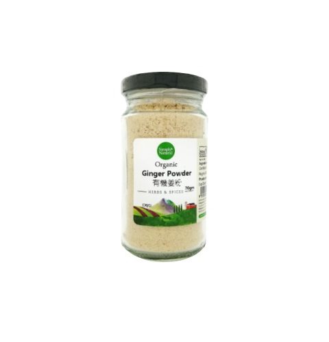 Chat Ginger Powder Spice (100g)