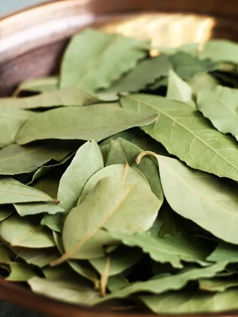 Spice Bay Leaves