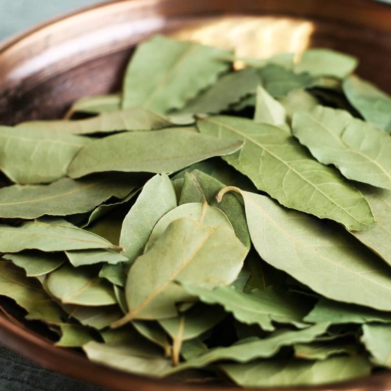 Spice Bay Leaves