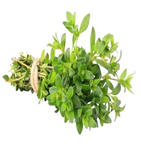 Delizz Fresh Thyme (1 pack)