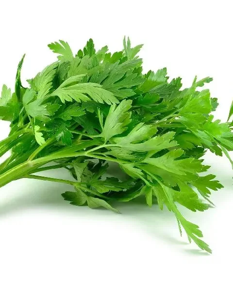 Celery leaf (Bunch)