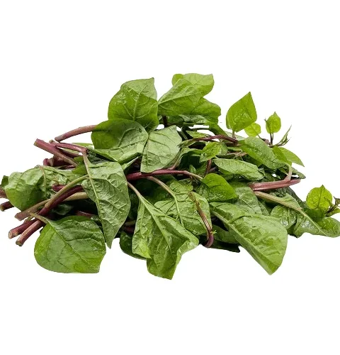Malabar Spinach