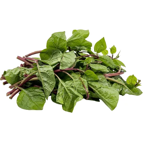 Malabar Spinach