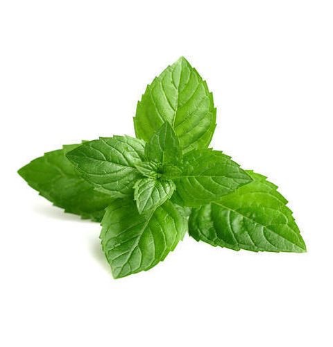 Deli Mint Leaves (per pack)