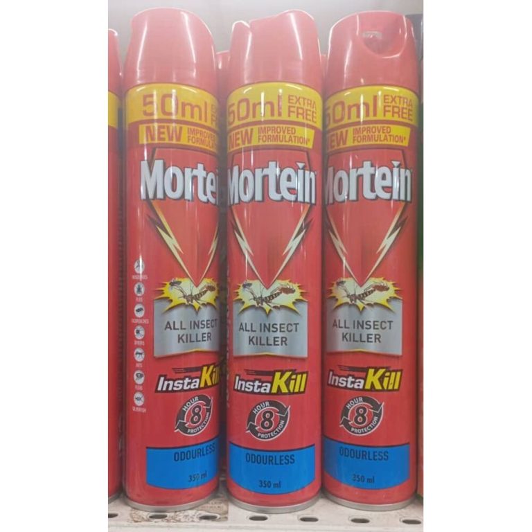Mortein All Insect Killer (Odourless) | 350ml