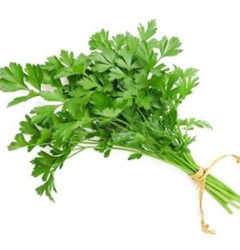 Delis Parsely Pack